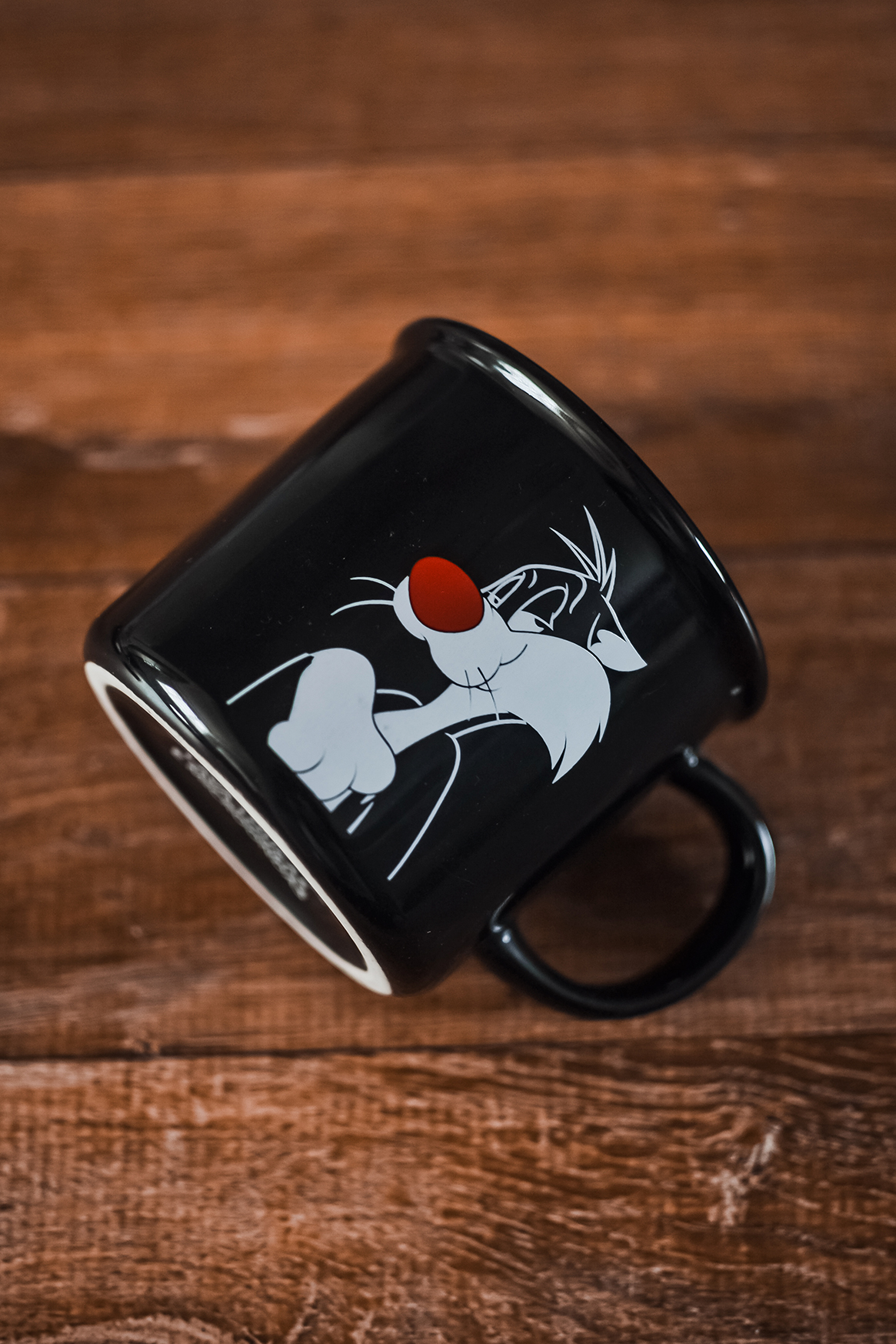JONES-RODRIGUES-MOCKUP-CANECA-FRAJOLA-CAPA